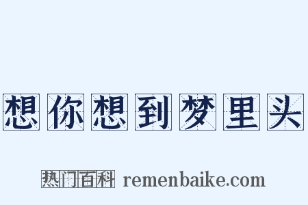 想你想到梦里头是什么意思的图片